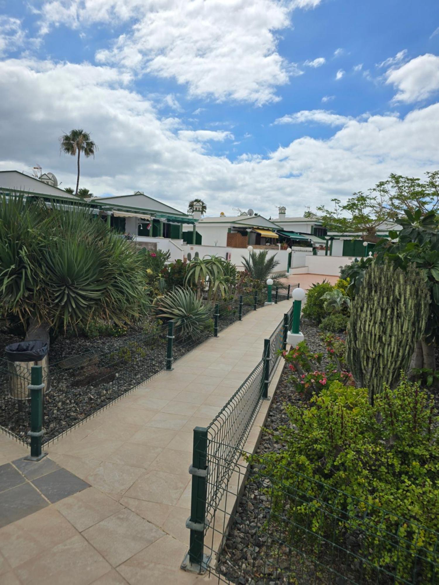 The Sunflower Maspalomas  Luaran gambar