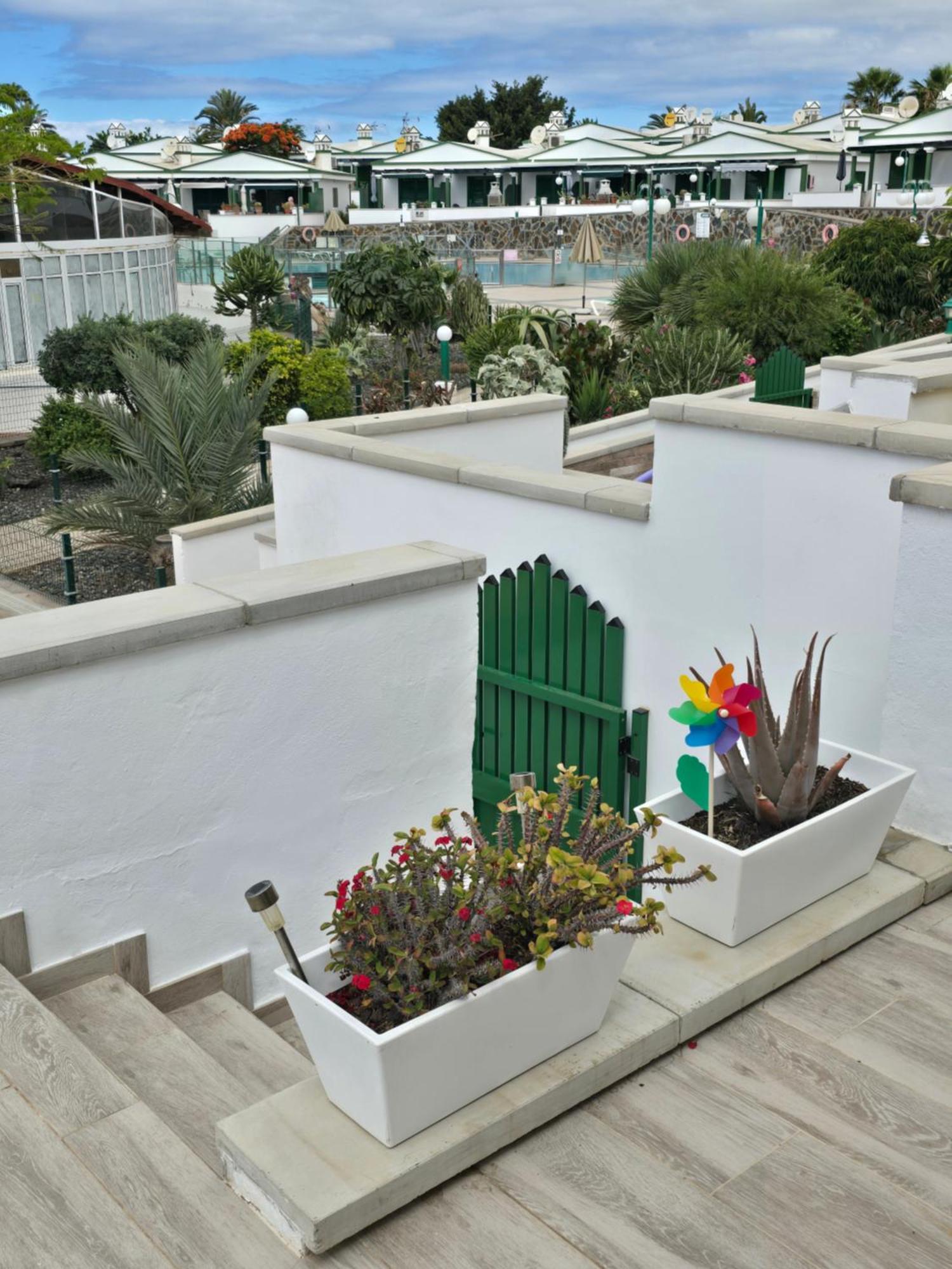 The Sunflower Maspalomas  Luaran gambar
